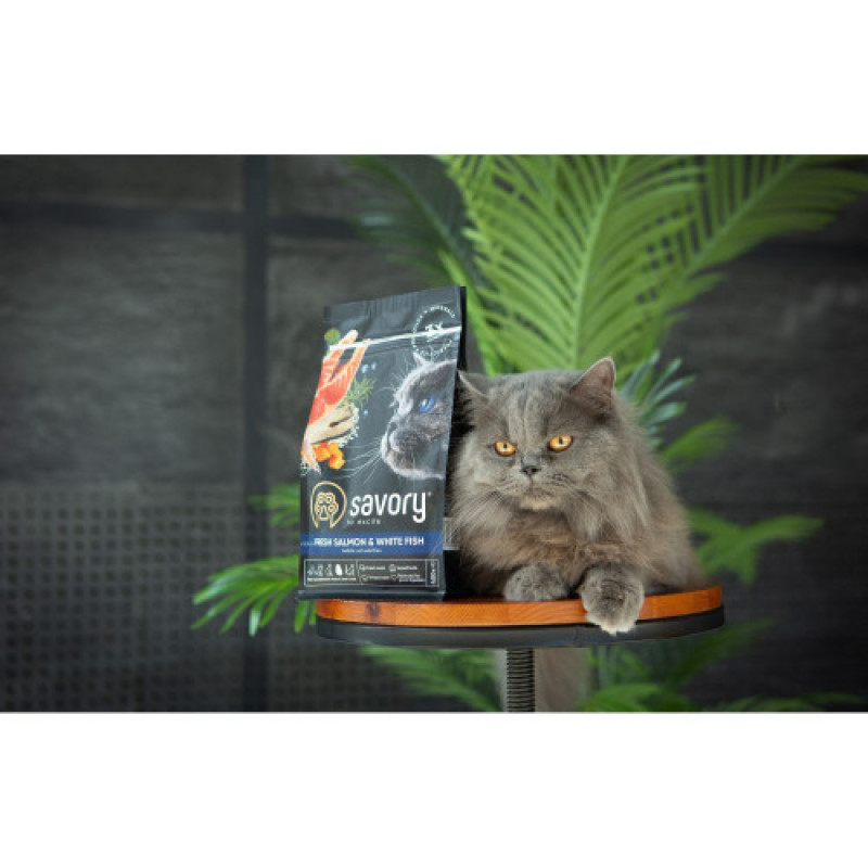 Корм сухий Savory Adult Cat Gourmand Fresh Salmon and White Fish для дорослих котів зі свіжим лососем і білою рибою 400 г