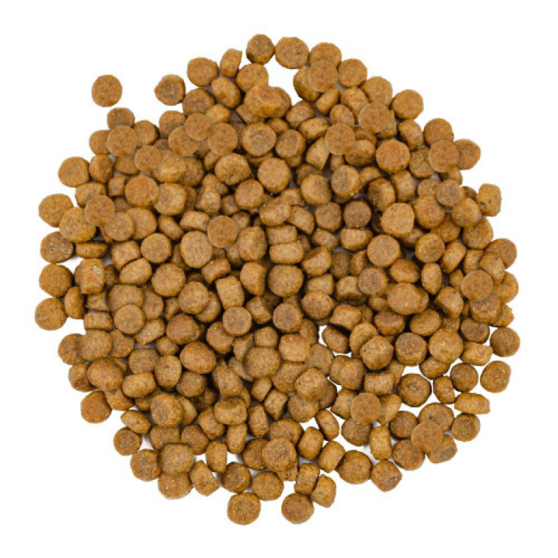 Корм сухий Savory Adult Cat Gourmand Fresh Salmon and White Fish для довгошерстих котів зі свіжим лососем і білою рибою 2 кг