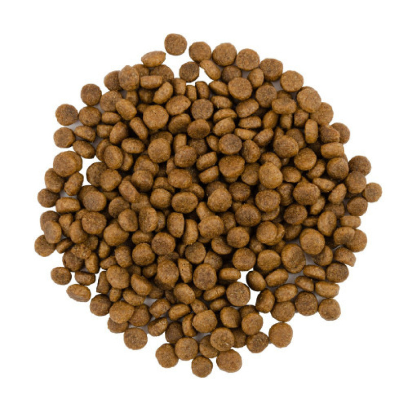 Корм сухий Savory Adult Cat Gourmand Fresh Turkey and Duck для котів-гурманів зі свіжою індичкою та качкою 8 кг