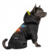 Костюм Pet Fashion «Flash» для собак, розмір S, чорний