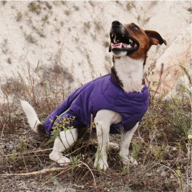 Жилет Pet Fashion «E.Vest» для собак, розмір XL, фіолетовий