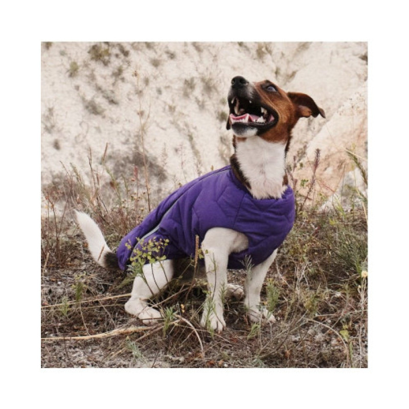 Жилет Pet Fashion E.Vest для собак фіолетовий S