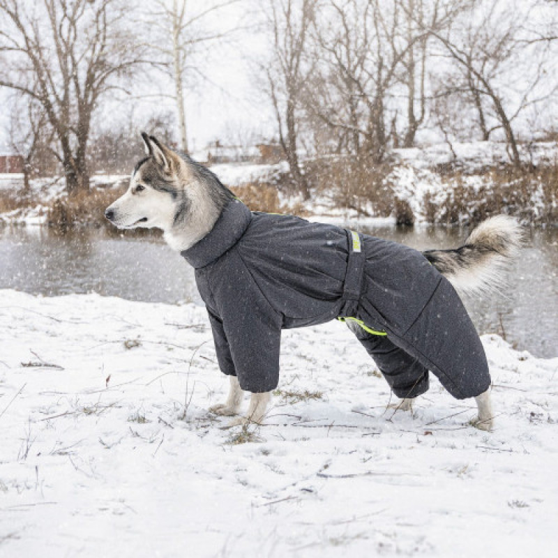 Комбінезон Pet Fashion Cold для собак сірий XS