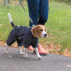 Дощовик Pet Fashion «Rain» для собак, розмір SM, сірий