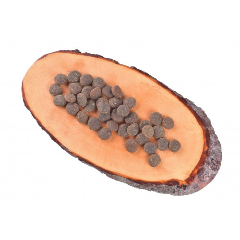 Корм сухий Carnilove True Fresh Turkey for Adult dogs для дорослих собак усіх порід з індичкою 4 кг