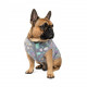 Жилет Pet Fashion «Magic» для собак, розмір XS2, з принтом тай-дай