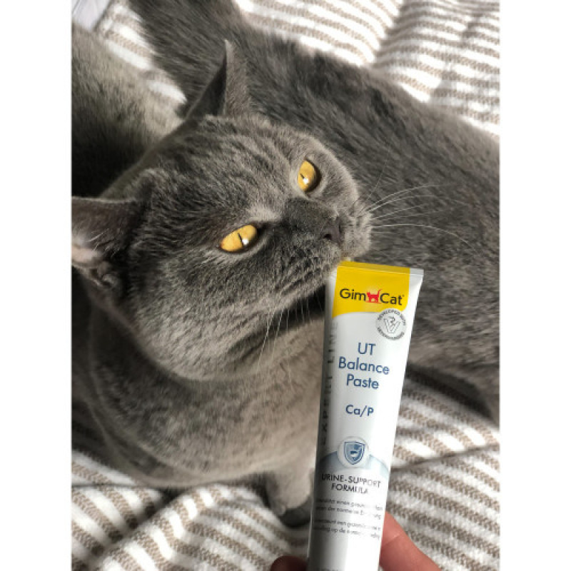 Вітаміни GimCat Expert Line UT Balance для котів паста для нирок та сечовивідних шляхів 50 г