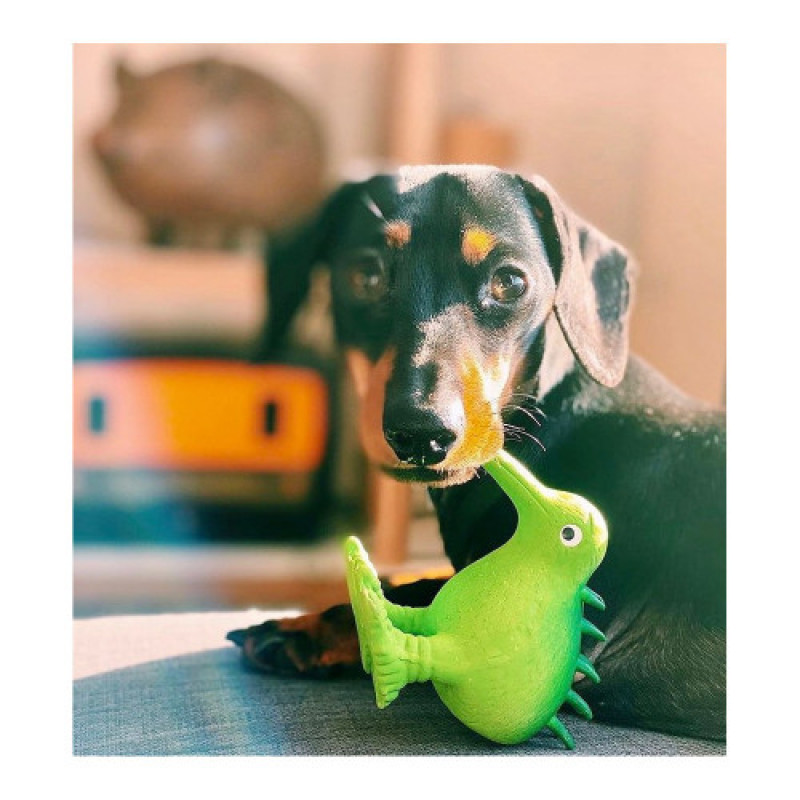 Іграшка Kiwi Walker для собак Птах Ківі зелений 15,5 см