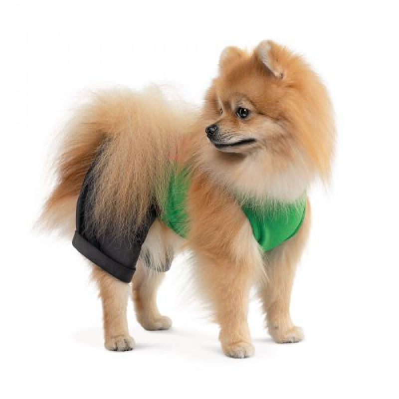 Костюм Pet Fashion «Aleks» для собак, розмір XS2, зелений