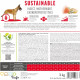 Сухий корм Brit Care Dog Sustainable Activity для собак з підвищеною активністю, з куркою та комахами, 3 кг