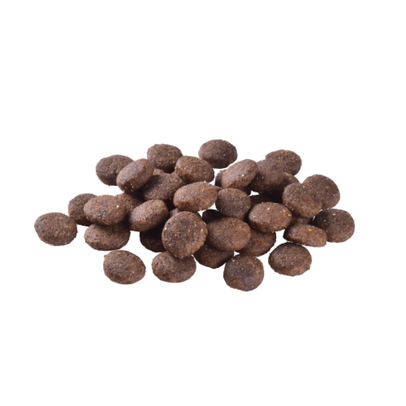 Сухий корм Brit Care Dog Grain-free Junior Large Breed для молодих собак великих порід, беззерновий з лососем, 1 кг