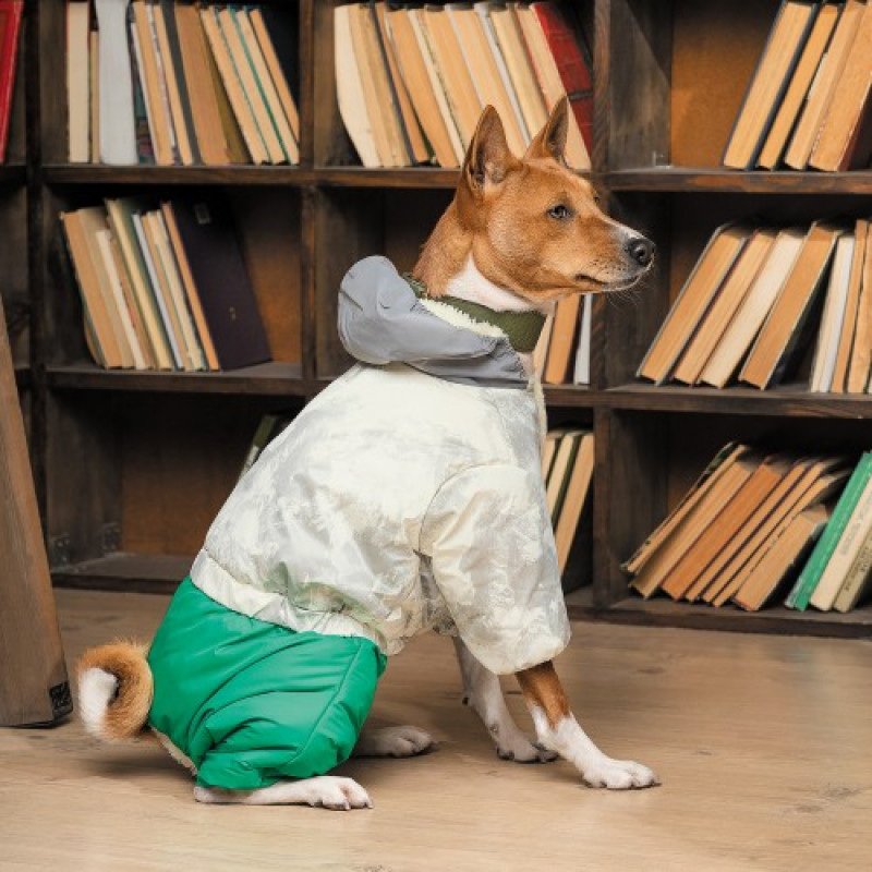 Костюм Pet Fashion Man для собак, розмір L, зелений