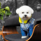 Костюм Pet Fashion Tender для дівчаток, розмір XS, синій