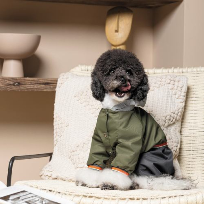 Дощовик Pet Fashion «Jimi» для собак, розмір S, зелений (лімітована серія)