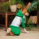 Костюм Pet Fashion «Leaf» для собак, розмір XS2, зелений (лімітована серія)
