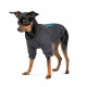 Толстовка Pet Fashion "I stand with" для собак, розмір M, сіра
