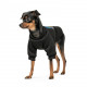 Толстовка Pet Fashion Ukraine для собак, розмір S, чорна