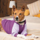 Толстовка Pet Fashion «Lilac» для дівчаток, розмір M, бузкова (лімітована серія)
