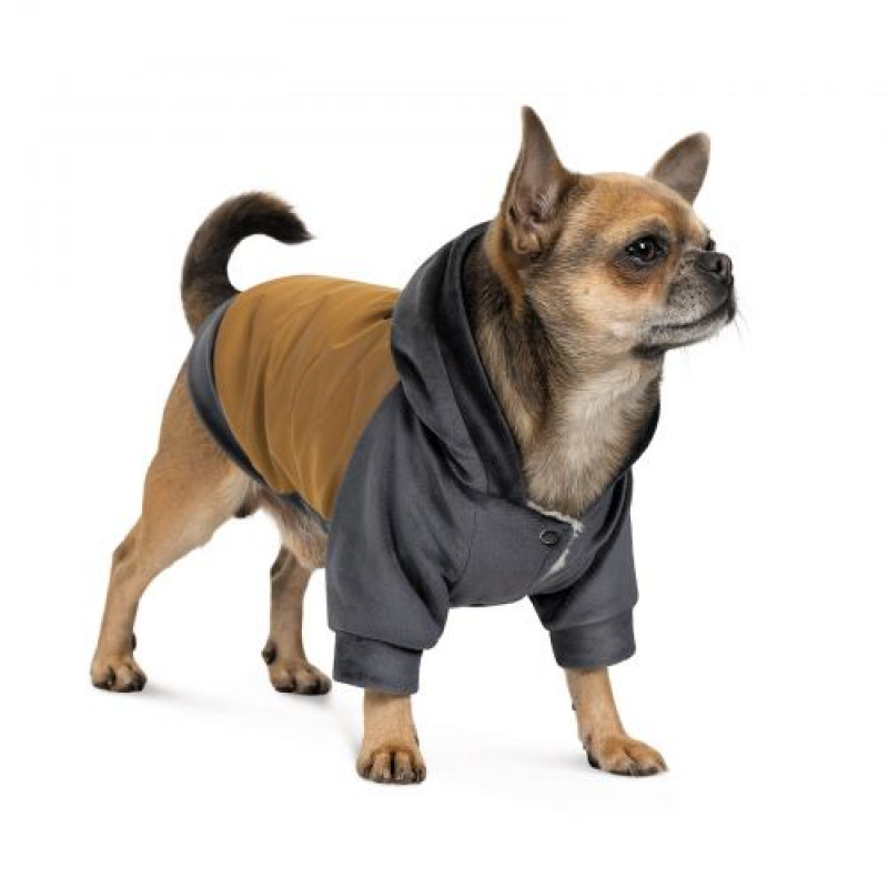 Толстовка Pet Fashion «Rollie» для собак, розмір XS2, бежева/сіра (лімітована серія)