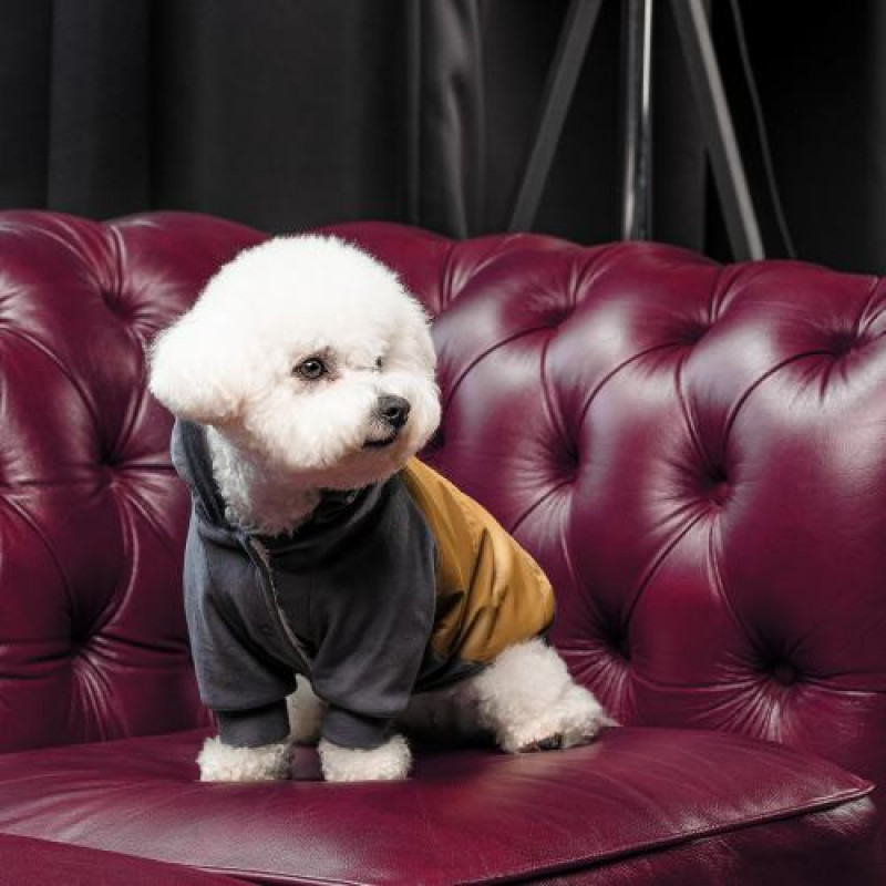 Толстовка Pet Fashion «Rollie» для собак, розмір XS2, бежева/сіра (лімітована серія)
