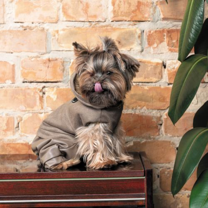 Костюм Pet Fashion «PF Style» для собак, розмір XS2, бежевий (лімітована серія)