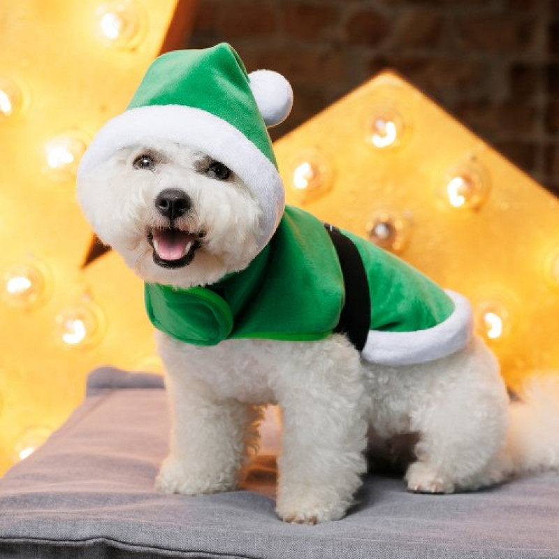 Попона Pet Fashion "Santa" для собак, розмір S, зелена
