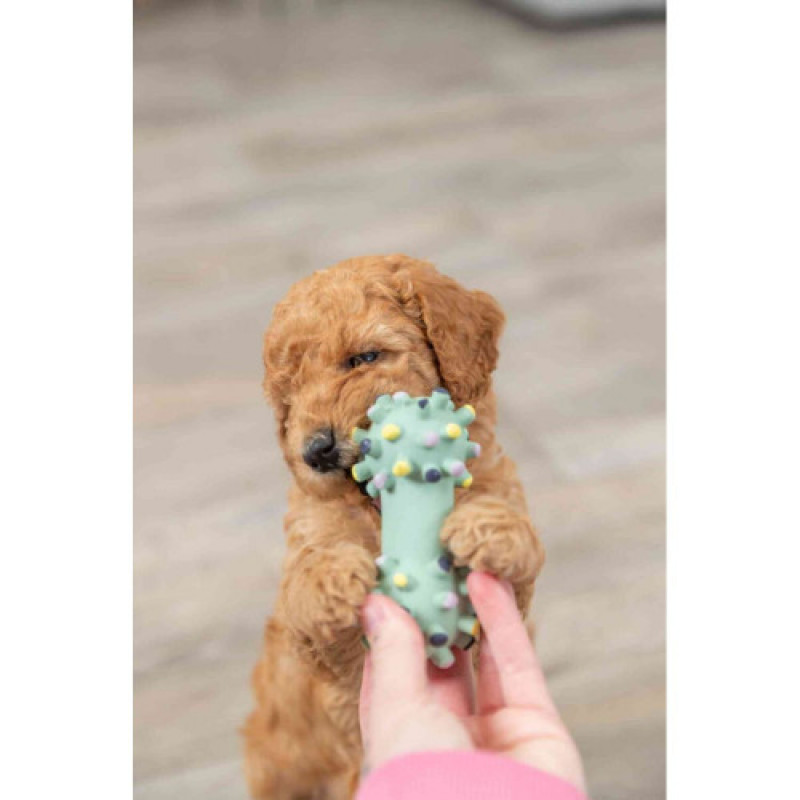 Іграшка Trixie Junior Mini Dumbbell для цуценят Гантель голчаста латекс 10 см