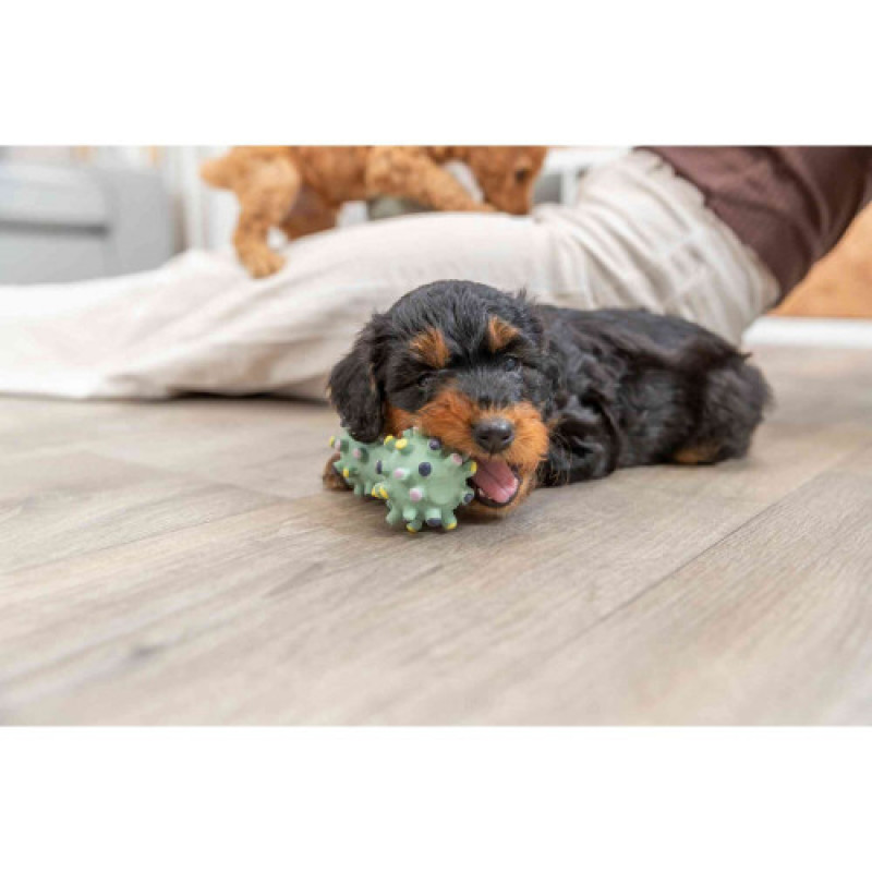 Іграшка Trixie Junior Mini Dumbbell для цуценят Гантель голчаста латекс 10 см