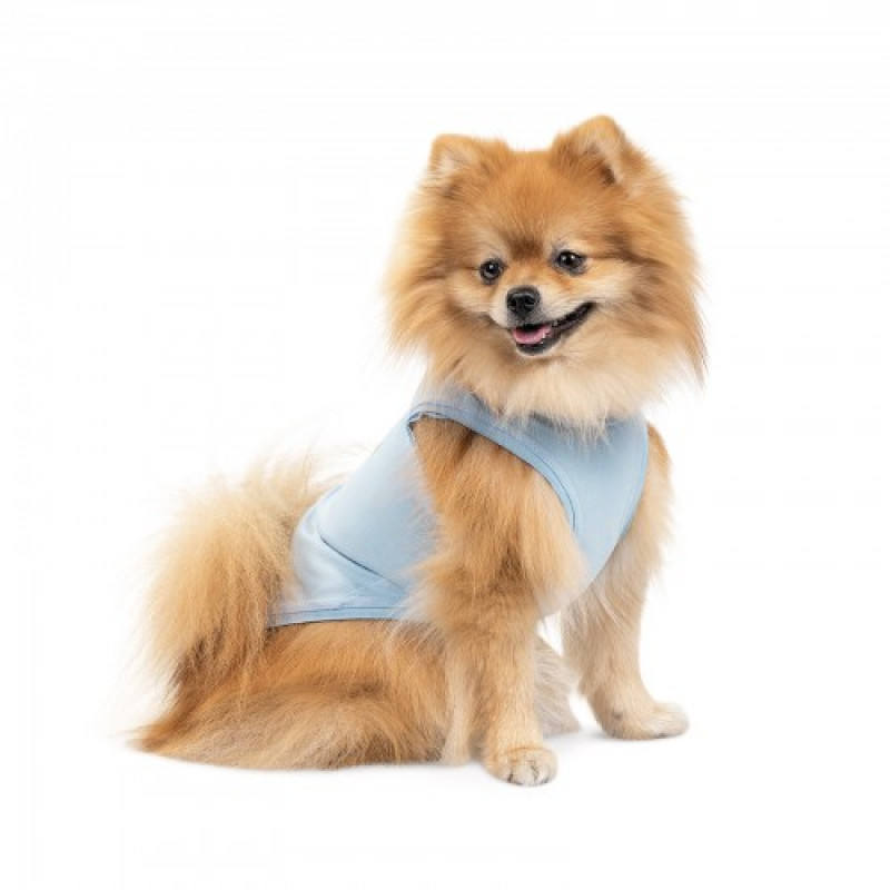 Майка Pet Fashion для собак Adam M