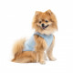 Майка Pet Fashion для собак Adam M