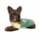 Футболка Pet Fashion для собак Endy XХS
