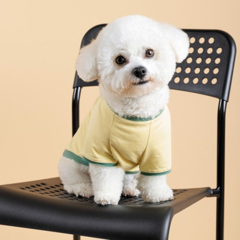 Футболка Pet Fashion для собак Endy XХS