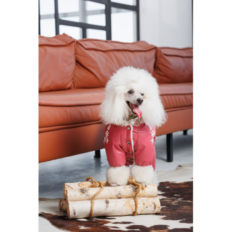 Комбінезон Pet Fashion Cherry S дівчинка для собак
