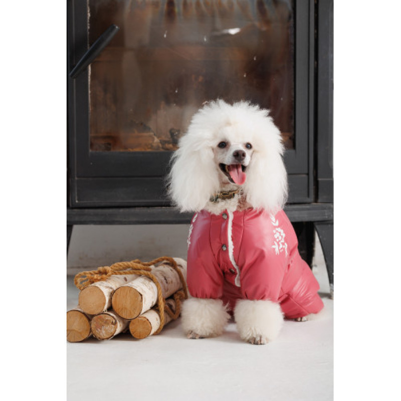 Комбінезон Pet Fashion Cherry ХS дівчинка для собак
