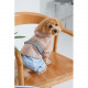 Дощовик Pet Fashion Tina для дівчаток розмір M бежевий/блакитний