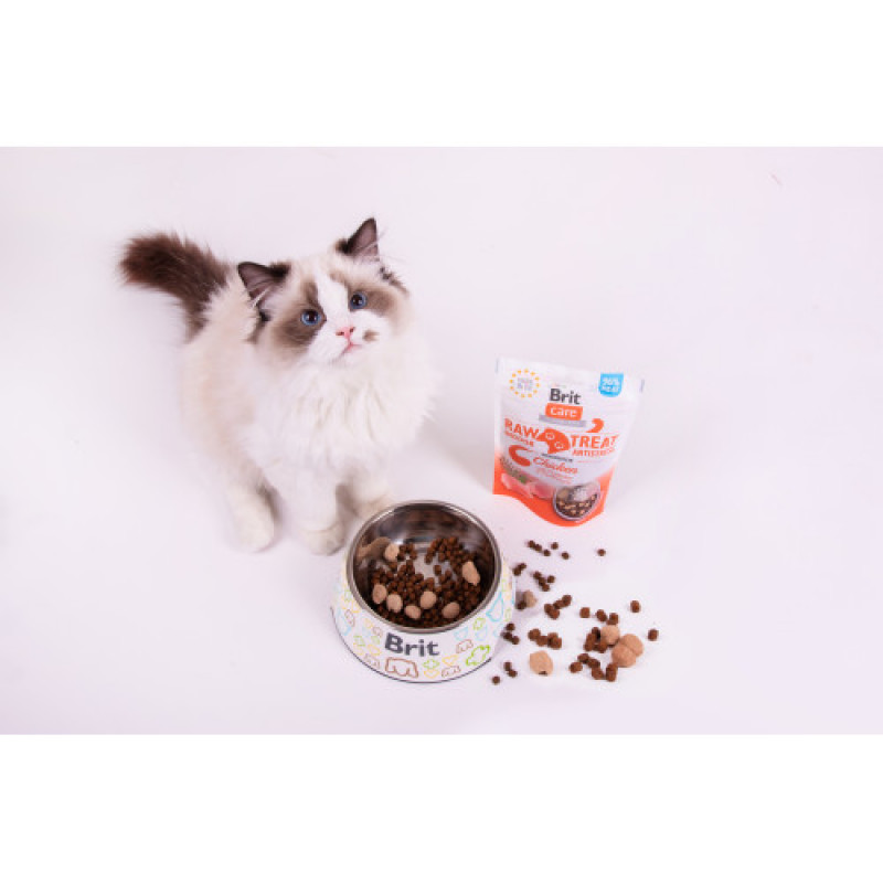 Ласощі для котів Brit Raw Treat Indoor & Antistress Freeze-dried з куркою, 40 г