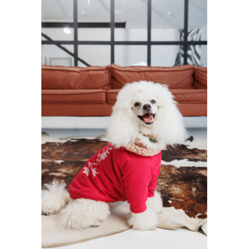 Кардиган Pet Fashion Garcia для собак розмір M