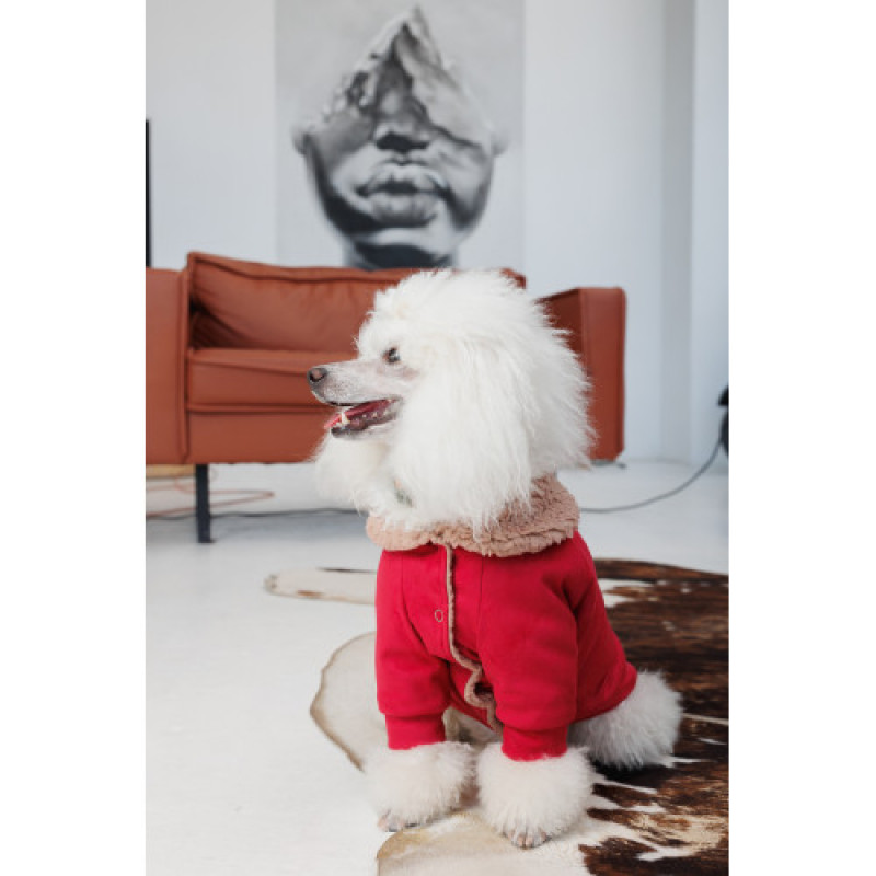 Кардиган Pet Fashion Garcia для собак розмір M