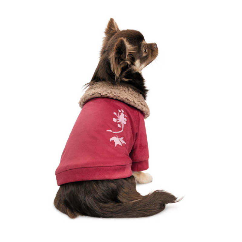 Кардиган Pet Fashion Garcia для собак розмір XS2