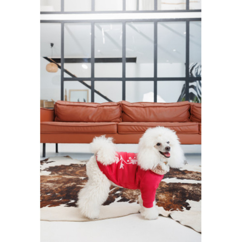 Кардиган Pet Fashion Garcia для собак розмір XS2