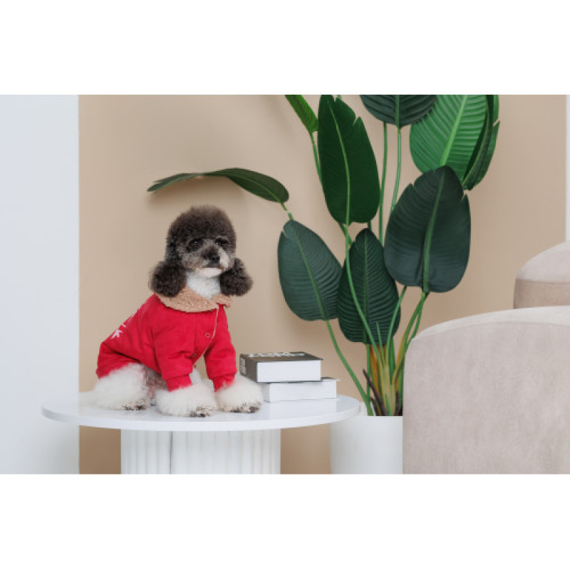 Кардиган Pet Fashion Garcia для собак розмір XS2