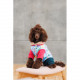 Костюм Pet Fashion Alisa для дівчинки розмір S