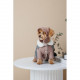 Шапка Pet Fashion Valley для собак розмір M