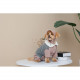 Костюм дівчинка Pet Fashion Twiddy ХS2 для собак