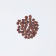 Корм сухий для котів Carnilove True Fresh Cat Turkey з індичкою, 4,8 кг