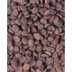 Корм сухий для котів Carnilove True Fresh Cat Turkey з індичкою, 4,8 кг