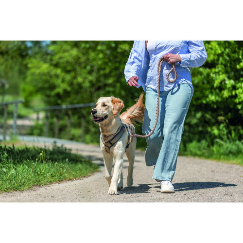 Нашийник Trixie Cavo для собак напівудавка S–M 35–41 см діаметр 12 мм рожево-пісочний