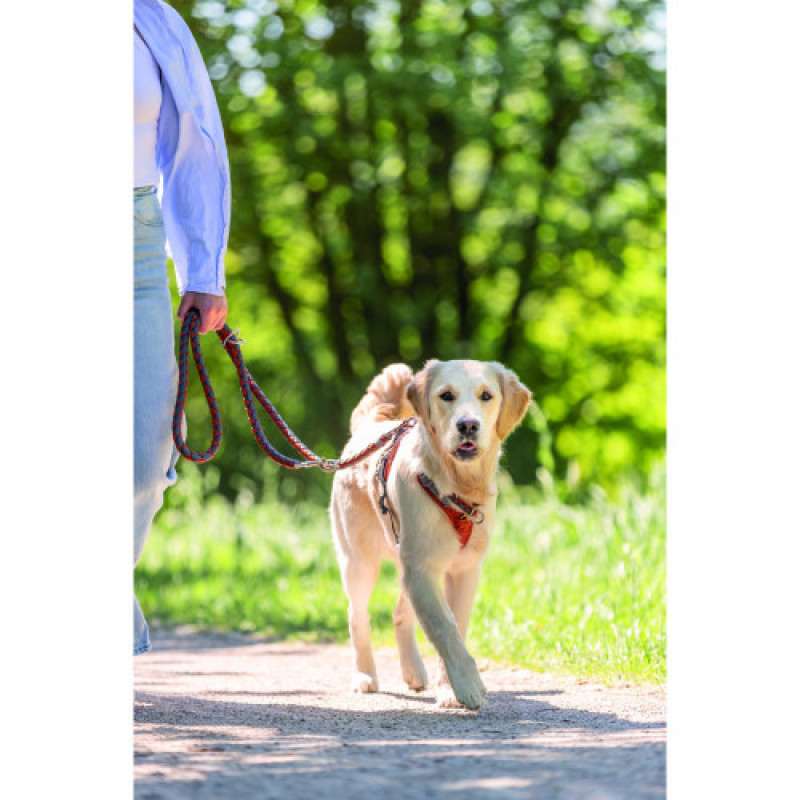 Нашийник Trixie Cavo для собак напівудавка S 30–36 см діаметр 12 мм рижо-графітовий