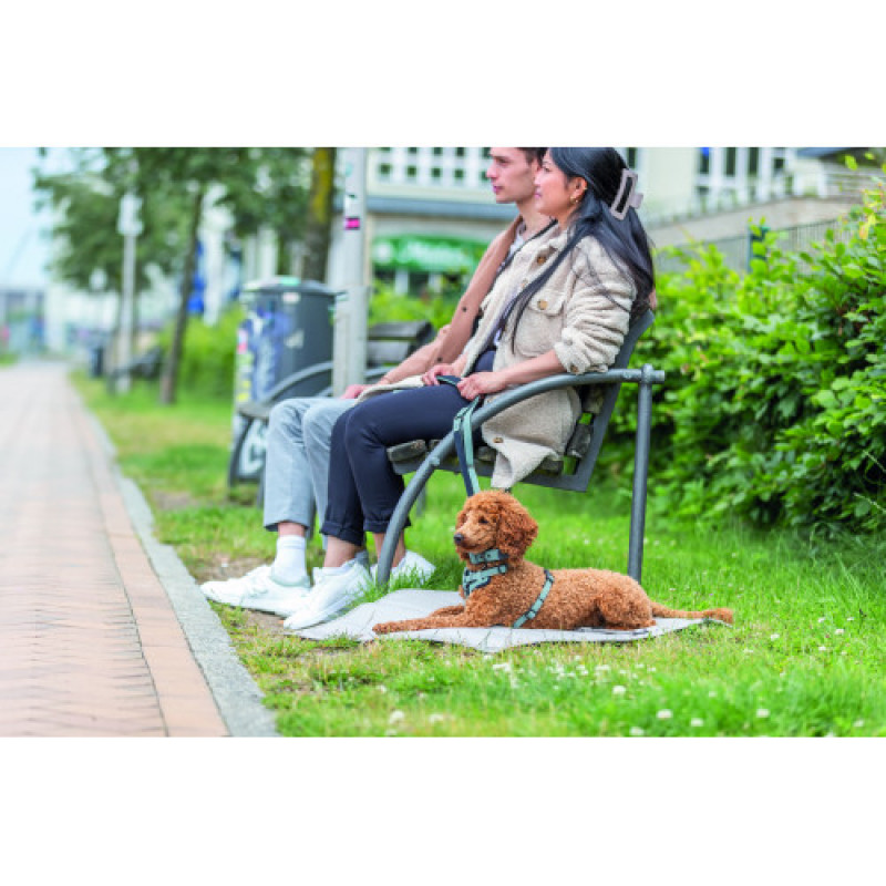 Шлея Trixie CityStyle H-harness для собак бавовна M–L 52–75 см 20 мм світло-зелена