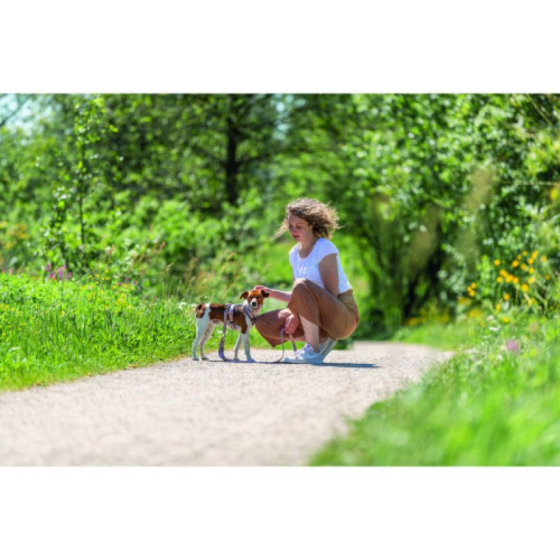 Шлея Trixie Premium для собак трекінгова S–M 44–53 см 20 мм рожево-сіра